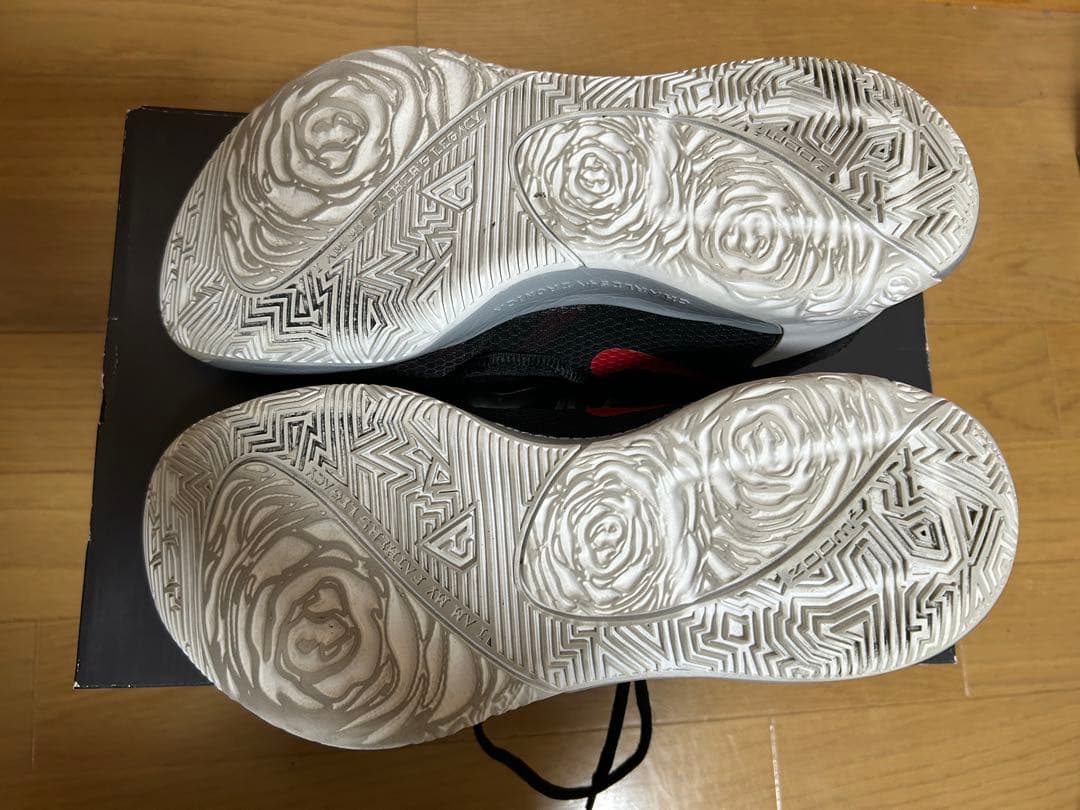 最終価格 箱なし NIKE ZOOM FREAK 1 ズームフリーク1