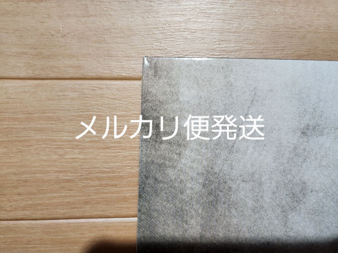 Vanessa Paradis ヴァネッサパラディ11曲入輸入盤レコード
