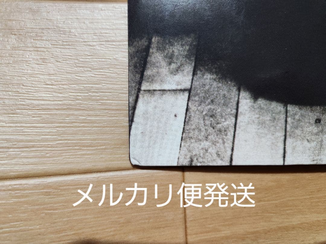 Vanessa Paradis ヴァネッサパラディ11曲入輸入盤レコード