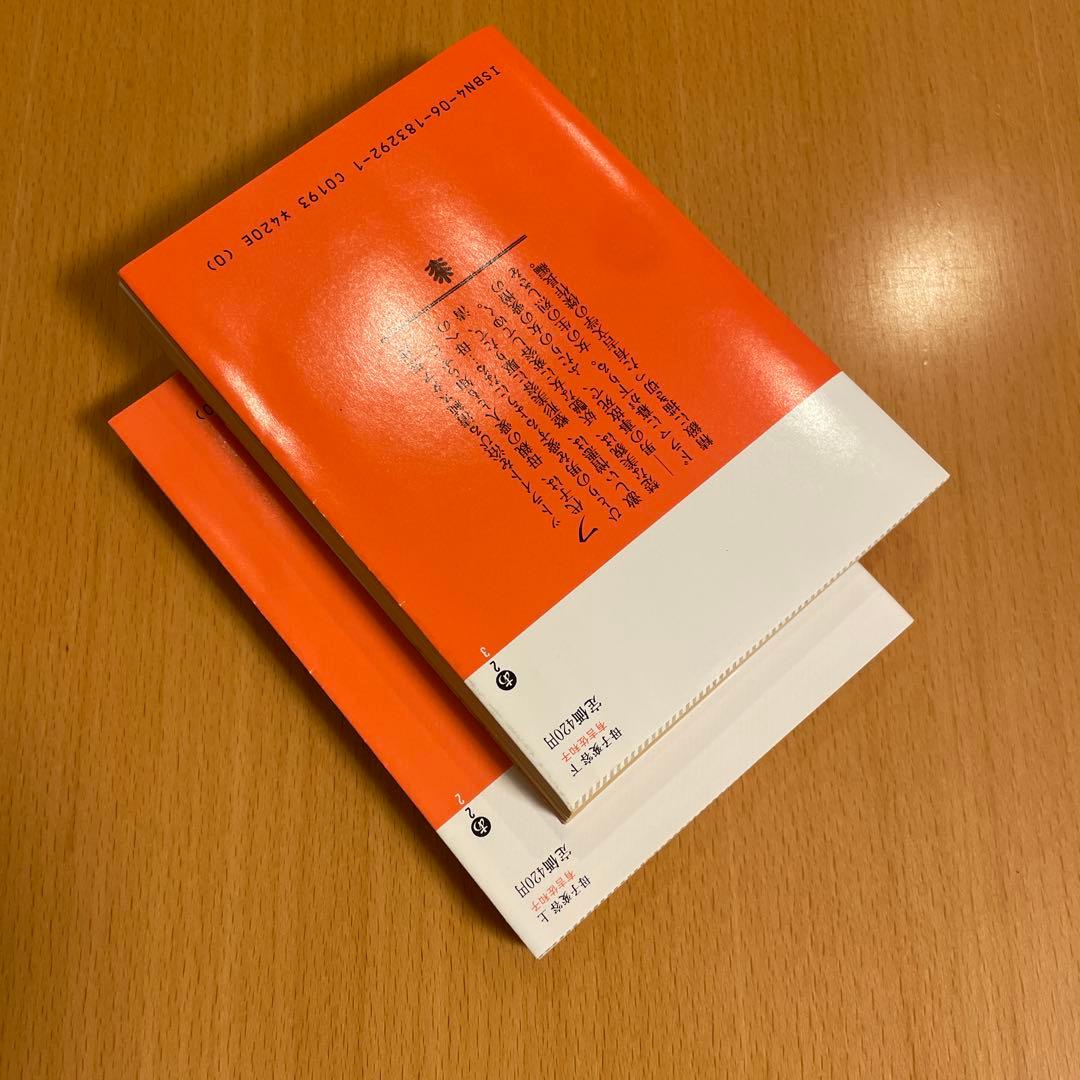 【絶版・希少・２冊組】 母子変容 上 下 有吉佐和子 講談社文庫 【匿名配送】