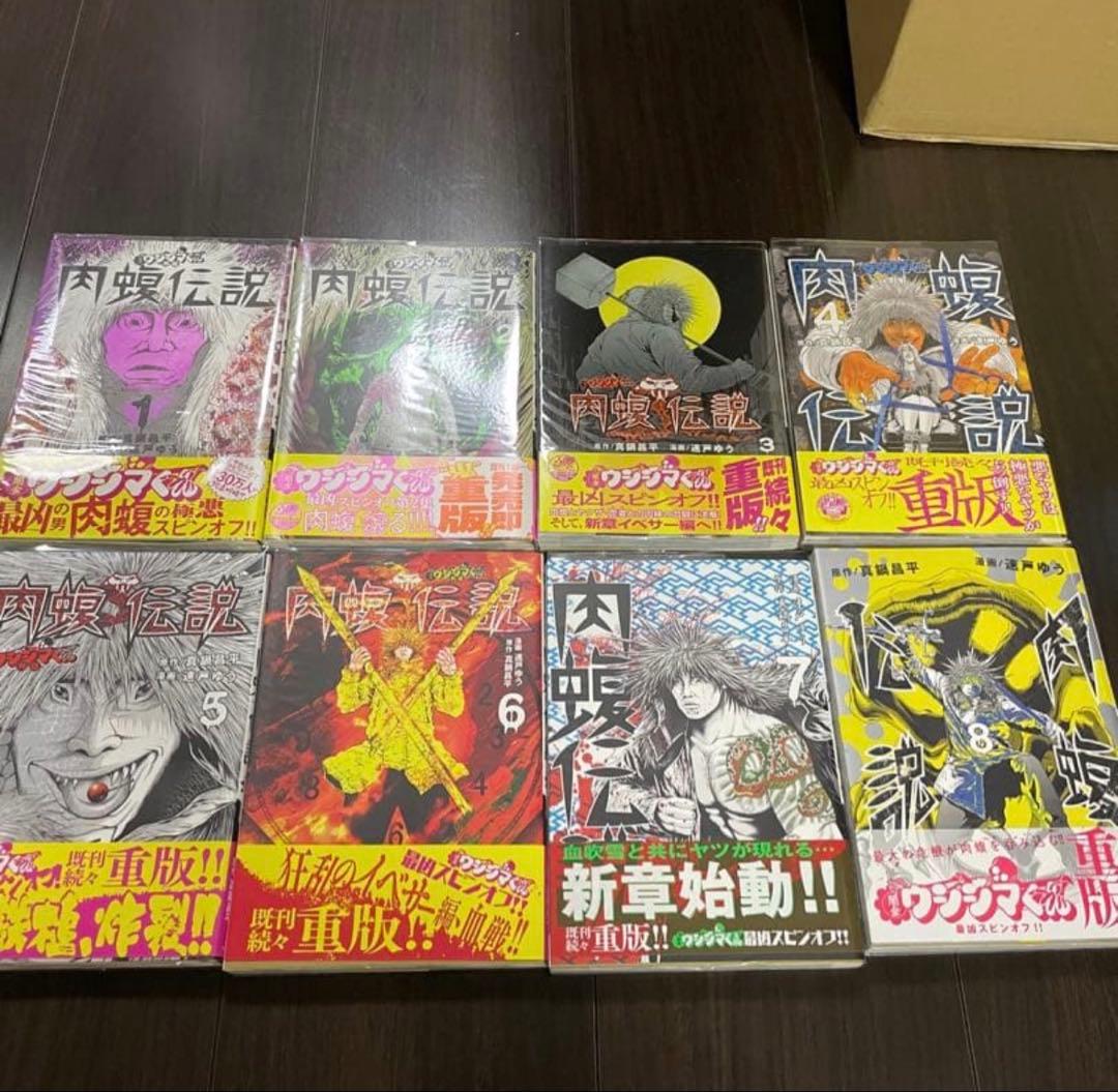肉蝮伝説　全巻　24冊　初版　帯付き　透明カバー付き　ウシジマ外伝