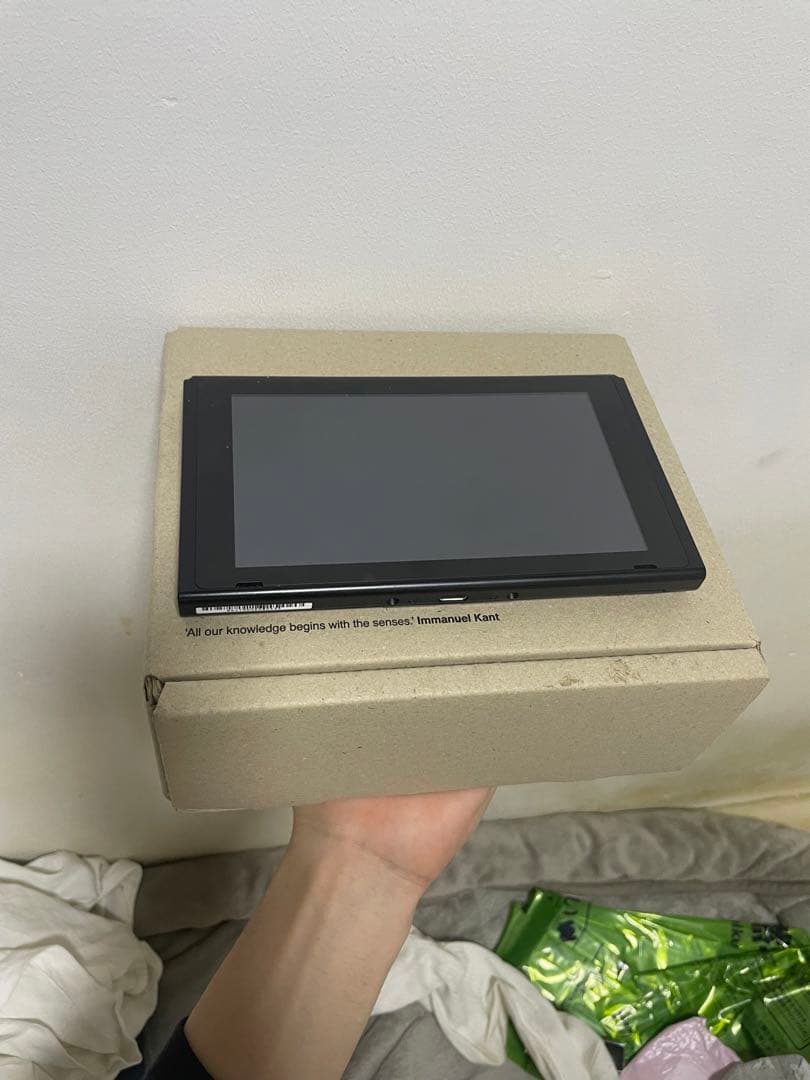 NINTENDO SWITCH HAD-S-KA スマブラ