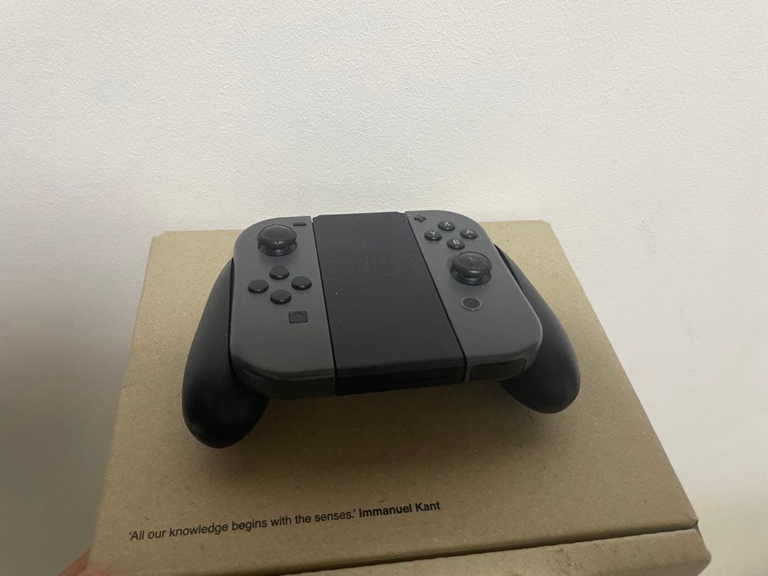 NINTENDO SWITCH HAD-S-KA スマブラ