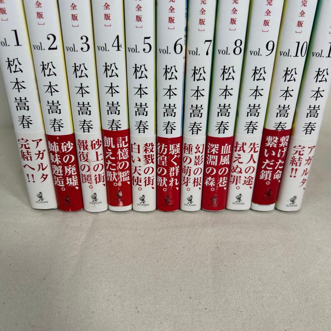 【美品】AGHARTA アガルタ　完全版　全11巻セット　松本崇春【全巻初版】