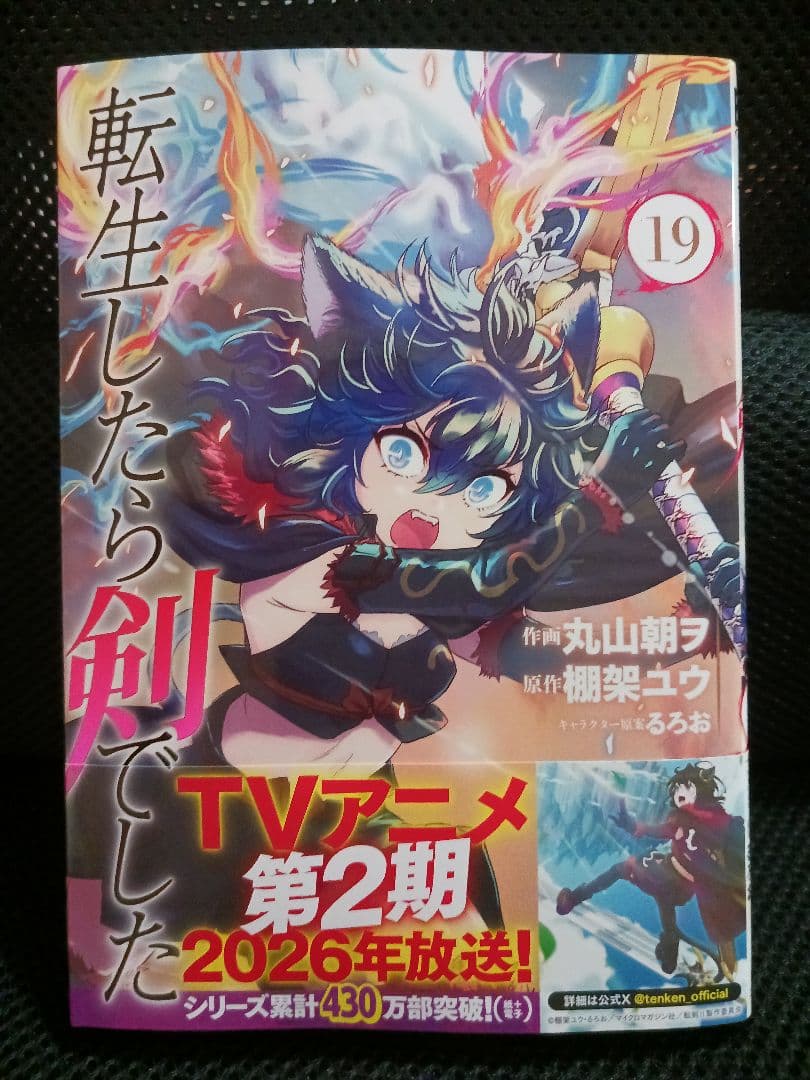 転生したら剣でした 19、他