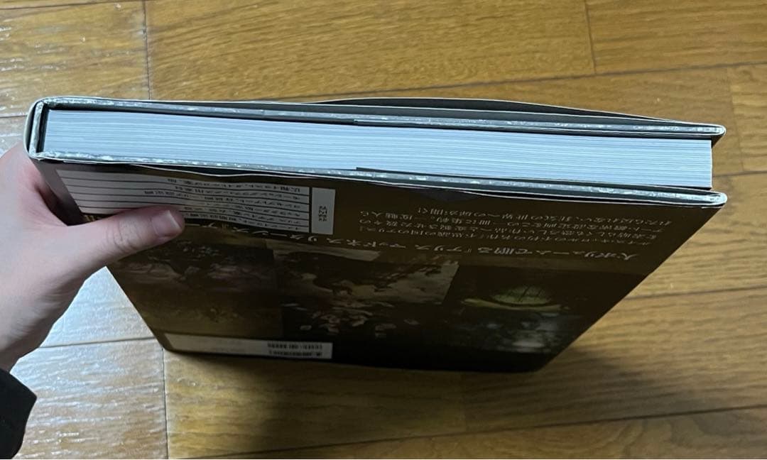 セール中 THE ART OF ALICE: MADNESS RETURNS