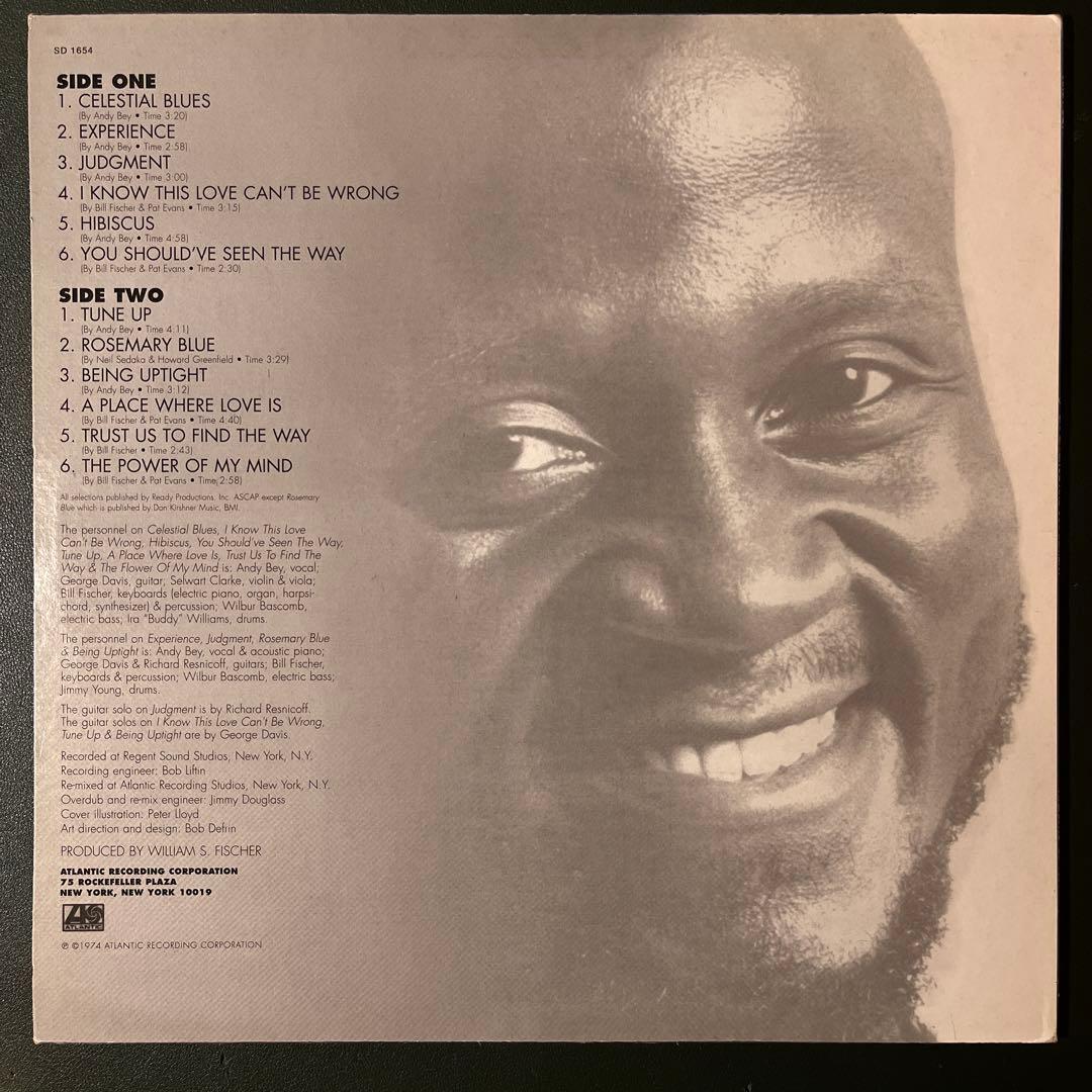 洋楽 ANDY BEY EXPERIENCE AND JUDGMENT LP