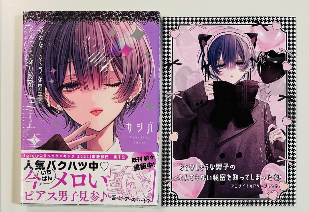 おとなしい男子のとんでもない秘密を知ってしまった3巻 特典4種セット