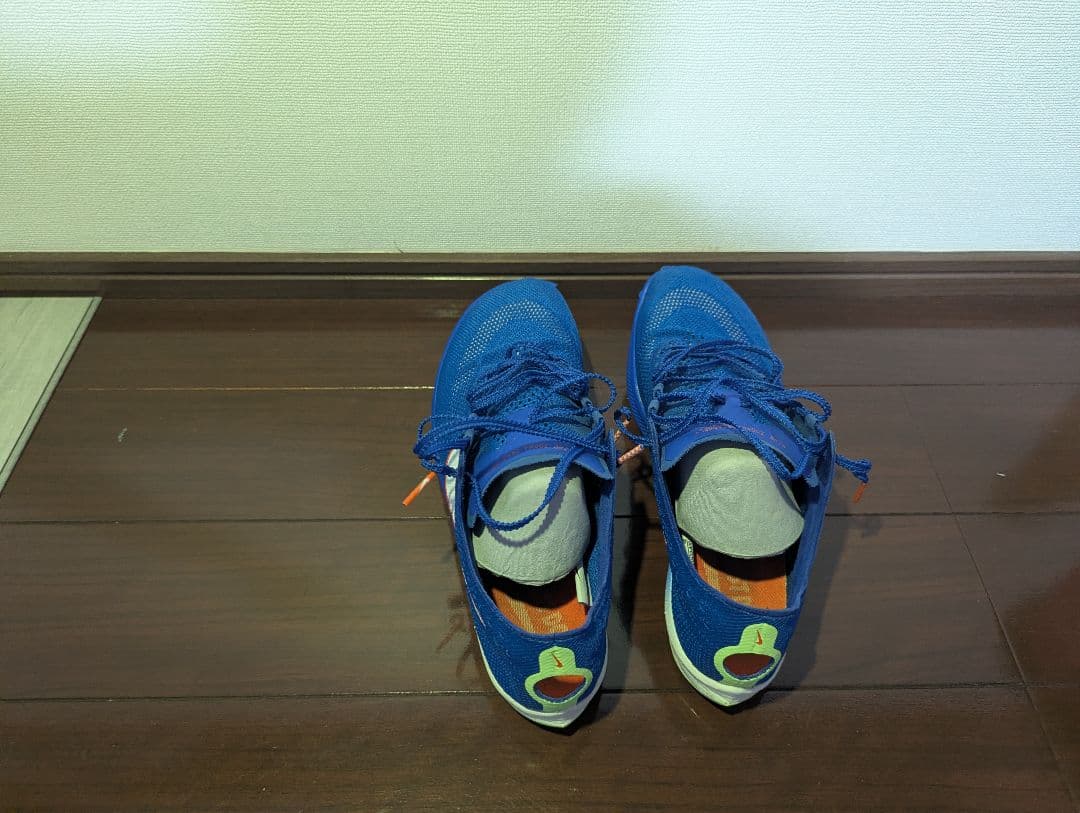 Nike ドラゴンフライ