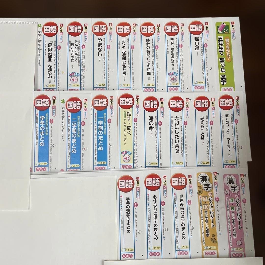 【最新版】小学6年　国語　カラーテスト　令和7年年度　１年分