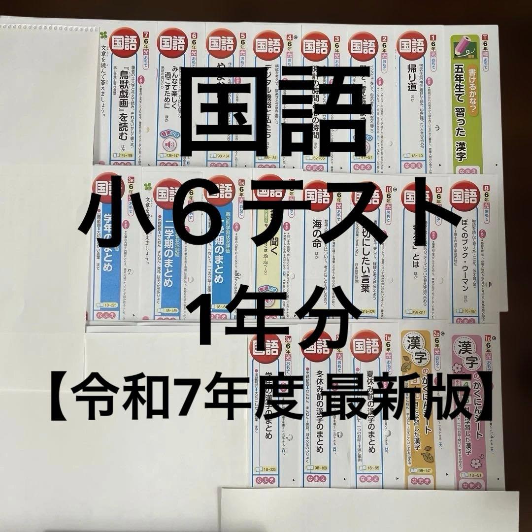 【最新版】小学6年　国語　カラーテスト　令和7年年度　１年分
