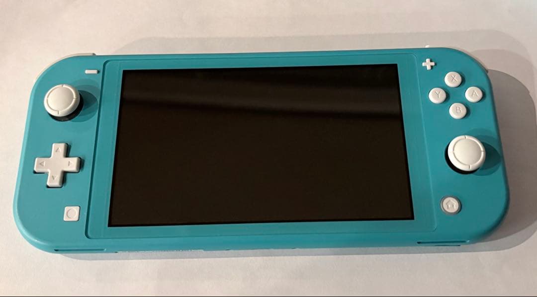 Nintendo Switch Lite 本体 箱　ACアダプター 動作確認済