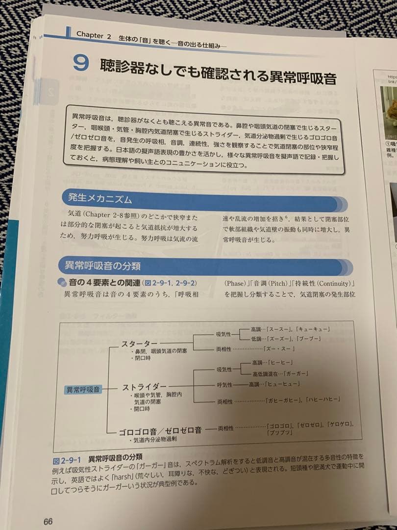 犬と猫の聴診ガイド　裁断済み