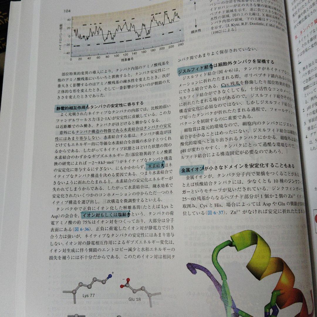 ヴォート基礎生化学 第5版　東京化学同人　箱（ケース）付き