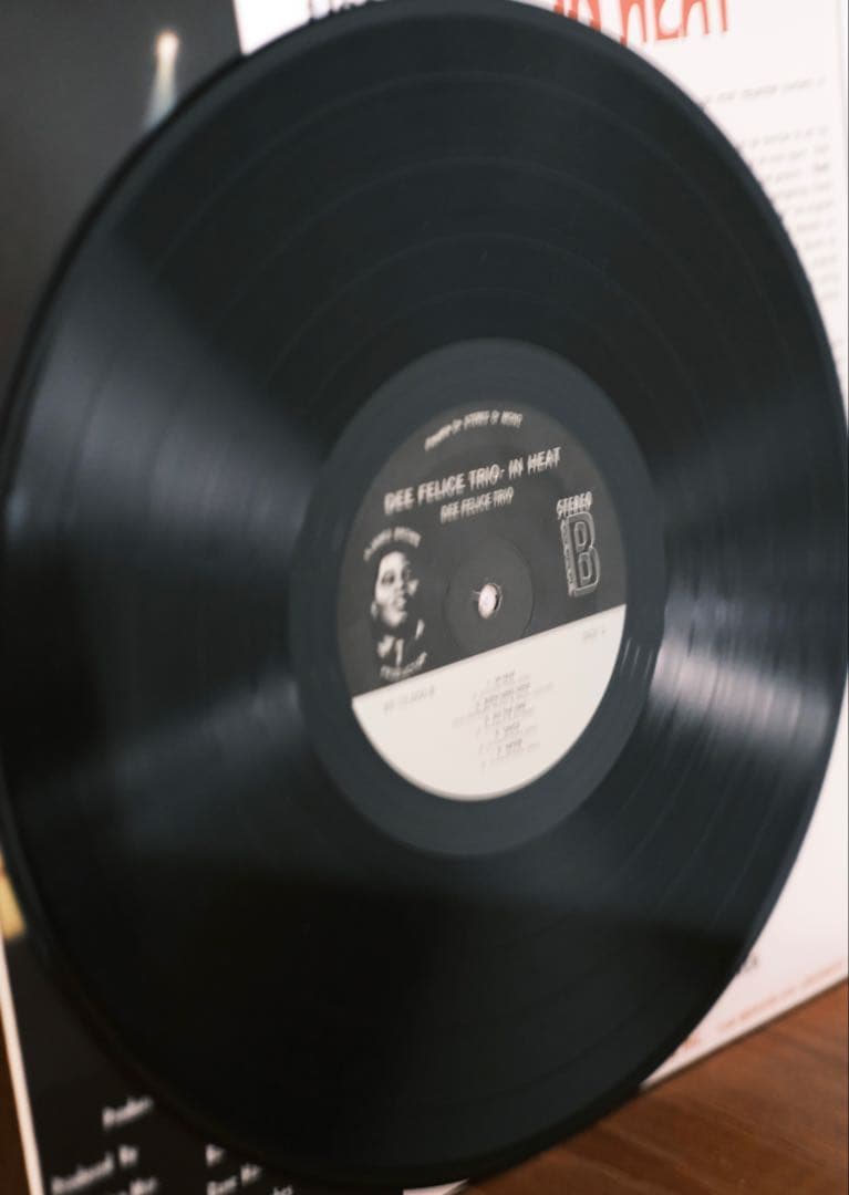 Dee Felice Trio / IN HEAT レコード