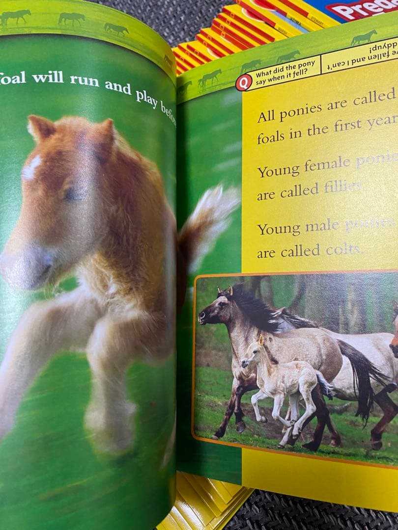 National Geographic KIDS セット