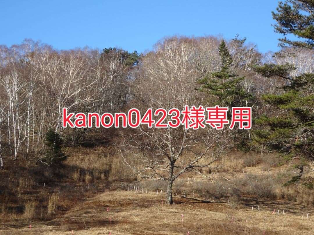 kanon0423!!南砺ペグマタイト他