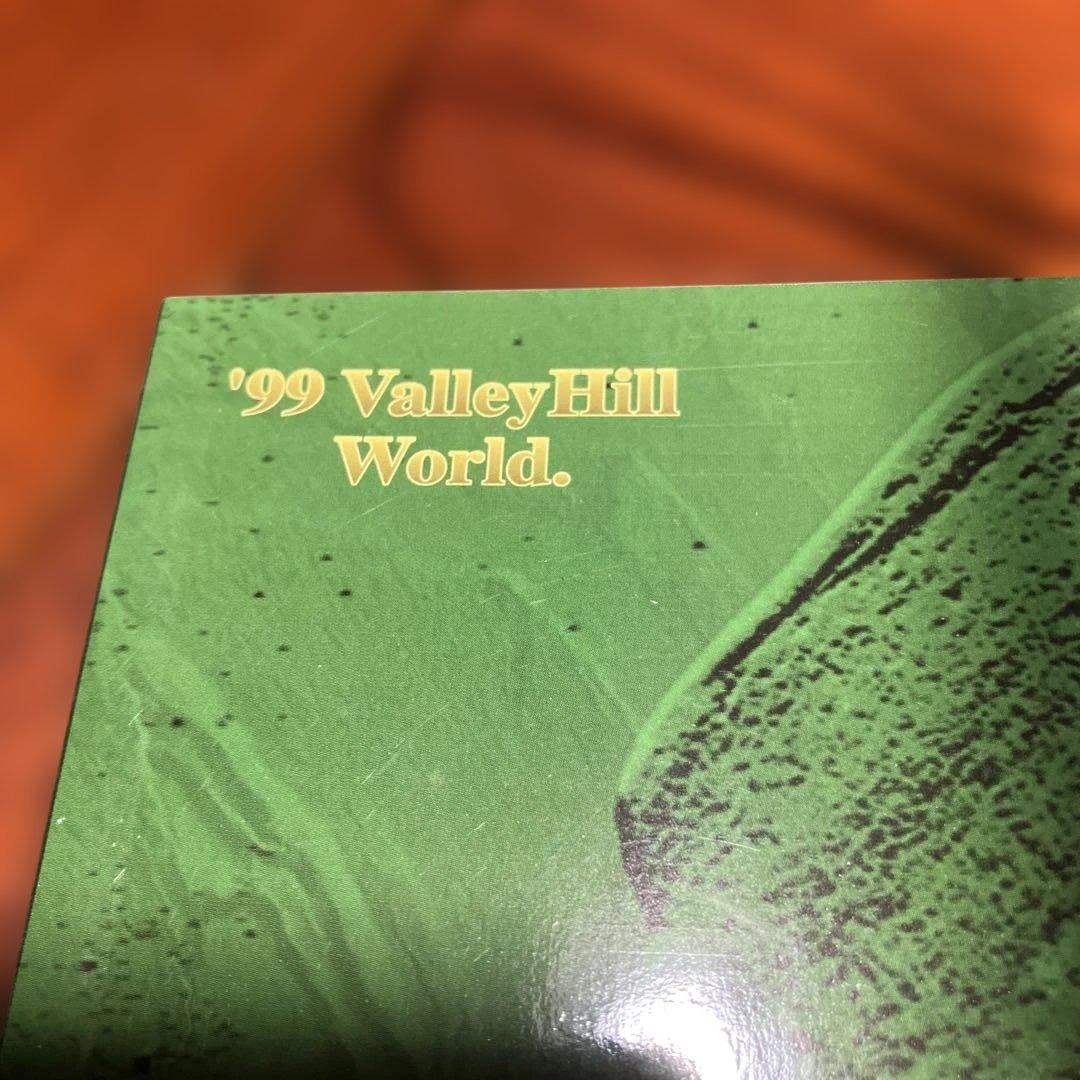 ValleyHill 1999カタログdeps Raw Dealer