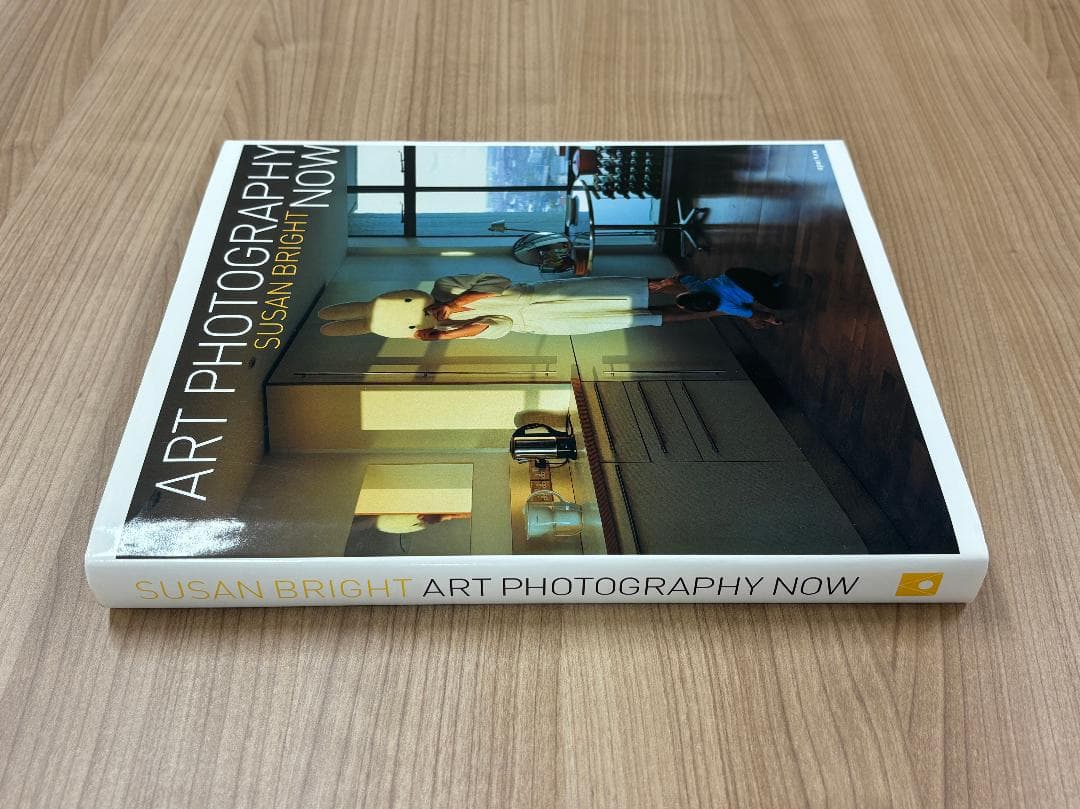 Art photography now Susan Bright 写真集 美品