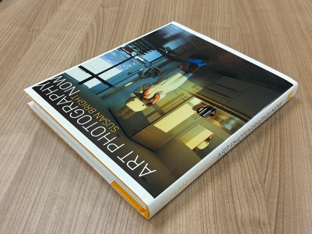 Art photography now Susan Bright 写真集 美品