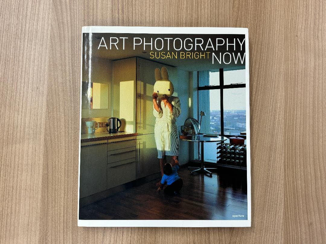 Art photography now Susan Bright 写真集 美品