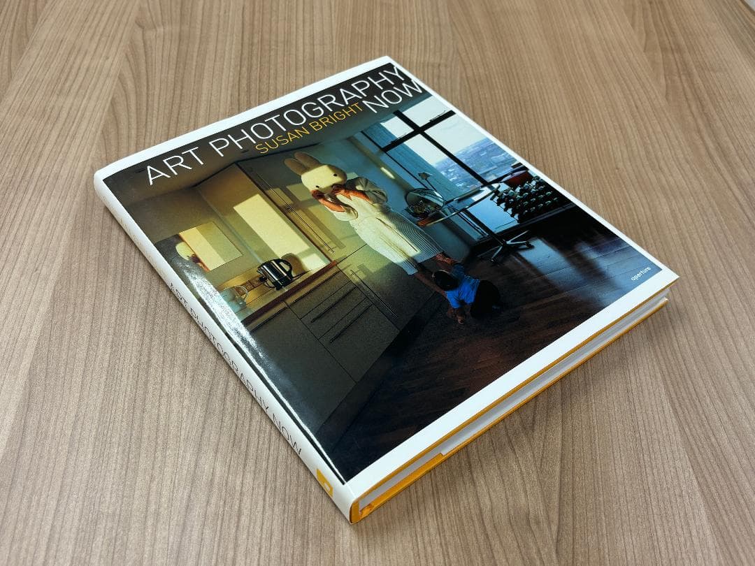 Art photography now Susan Bright 写真集 美品