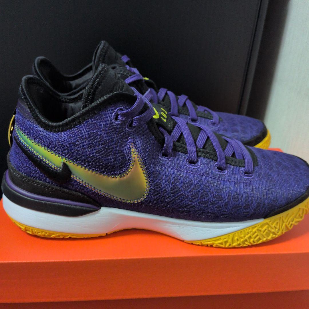 シューズ(男性用) NIKE ZOOM LEBRON NXXT GEN EP
