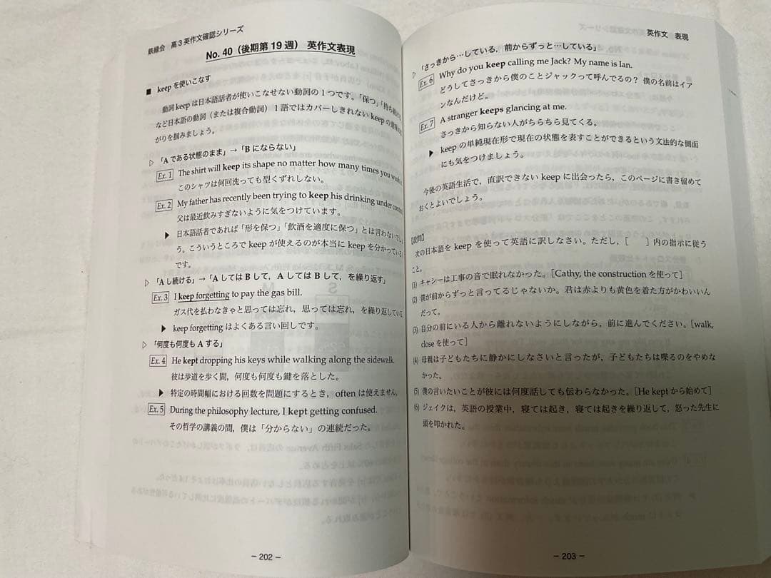 【新品】鉄緑会2025・高3英語・ 英作文確認シリーズ