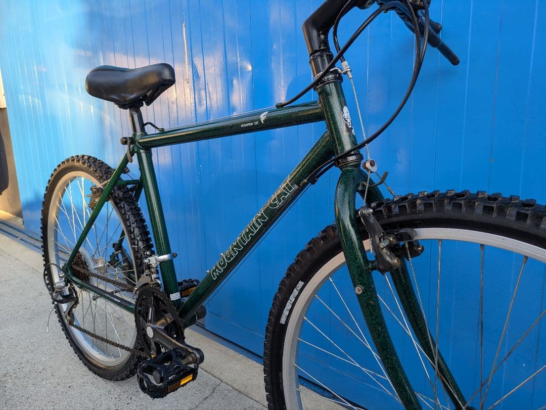 90’s OLD MTB マウンテンキャット マウンテンバイク 　東京専用