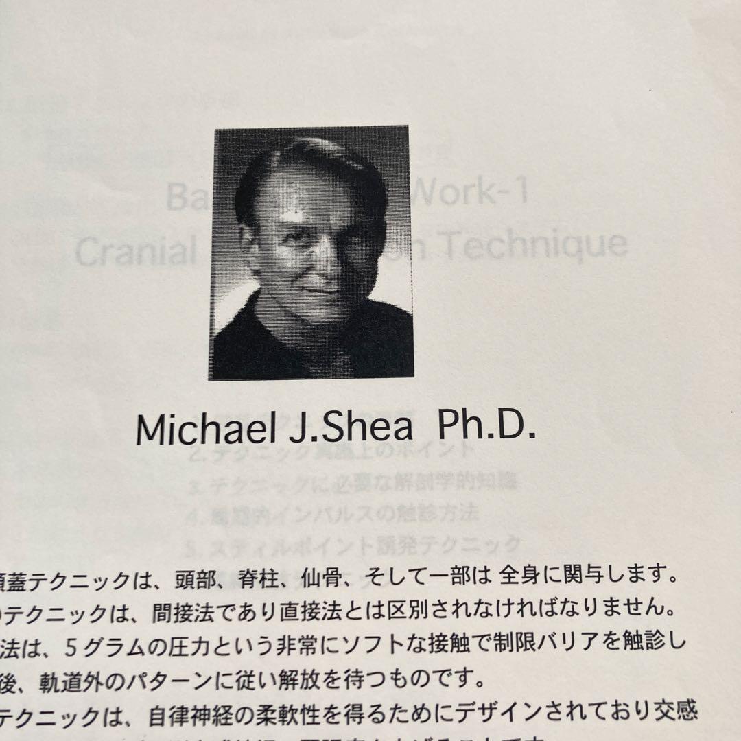 Somatic Cranial Work 頭蓋矯正法　セミナーテキスト整体　鍼灸