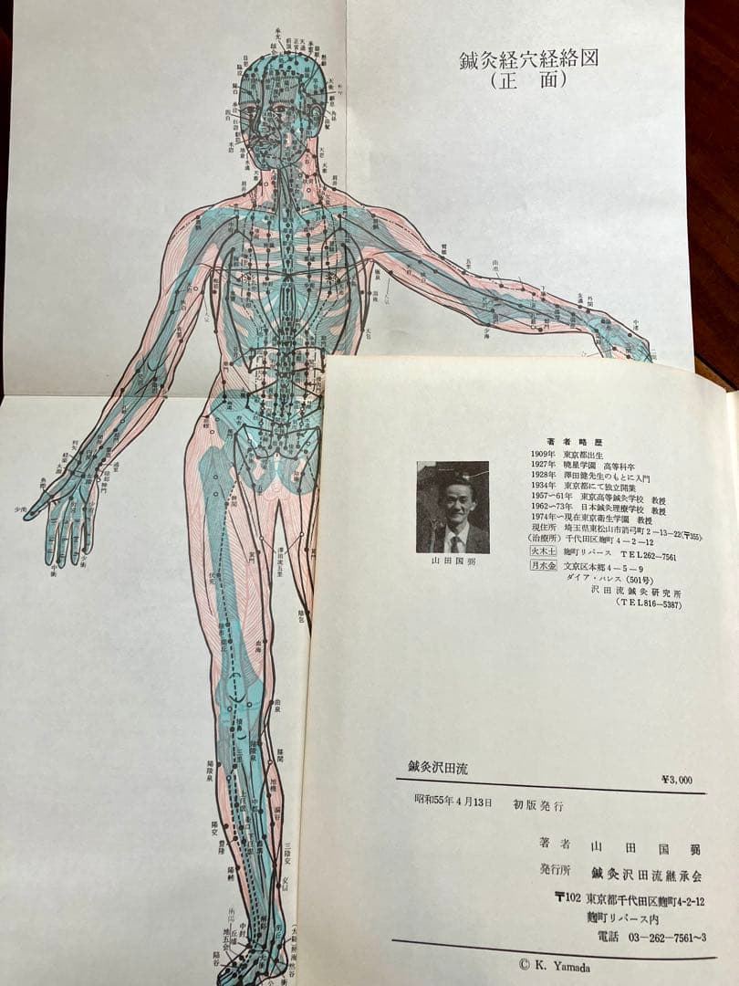 【超稀少・初版】鍼灸沢田流 原理から実際 山田国弼(山田國弼) 澤田流 代田文誌