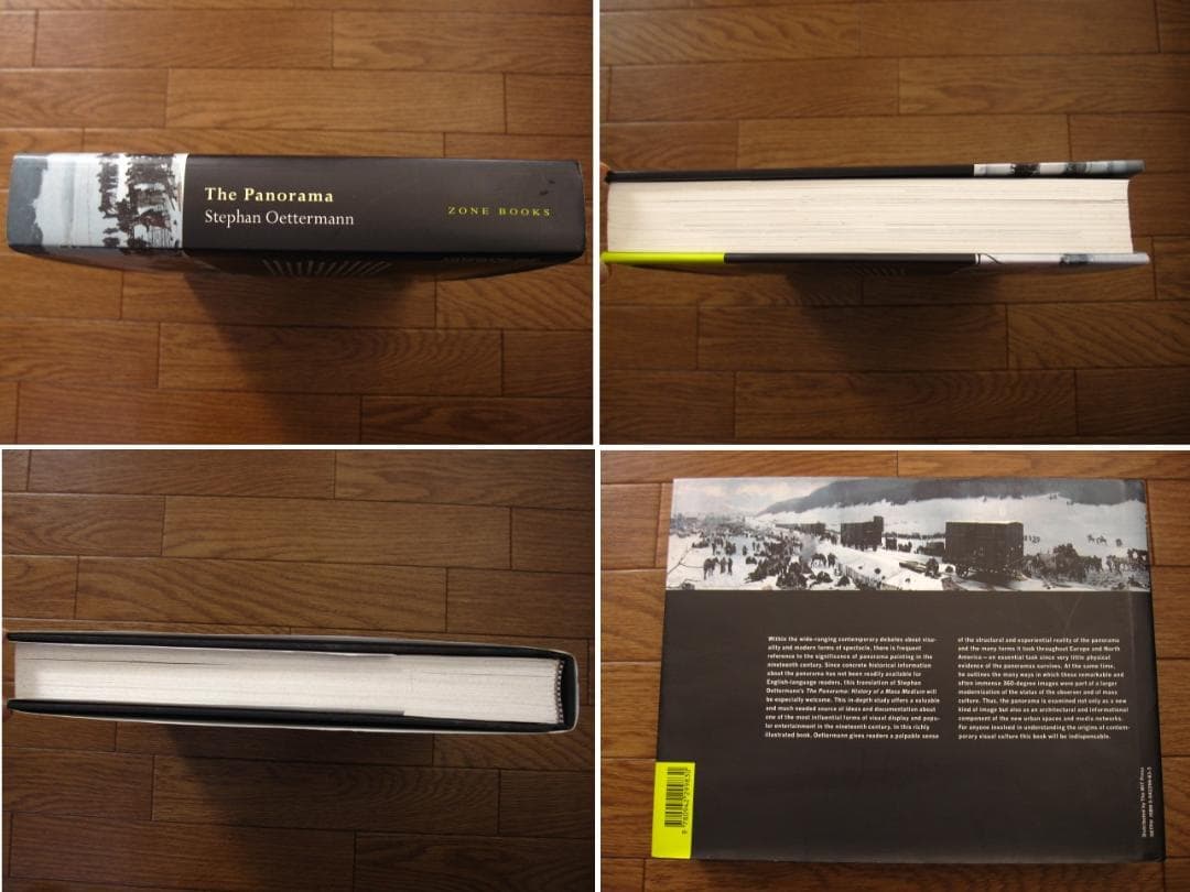 The Panorama　History of a Mass Medium