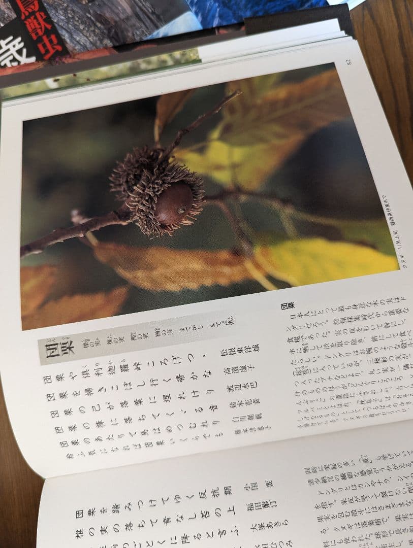 草木花　歳時記（春秋冬）