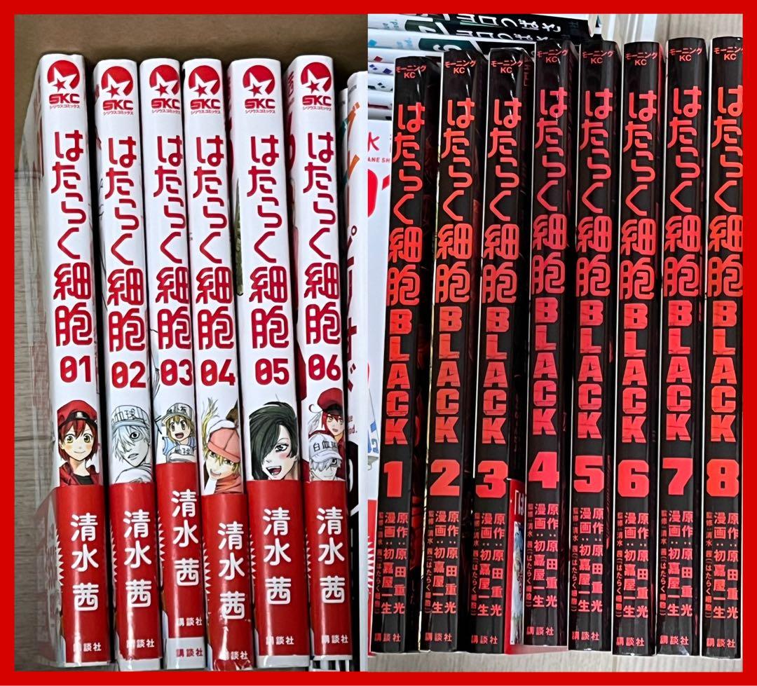 はたらく細胞 全巻セット 01-06 はたらく細胞 BLACK 1-8美品