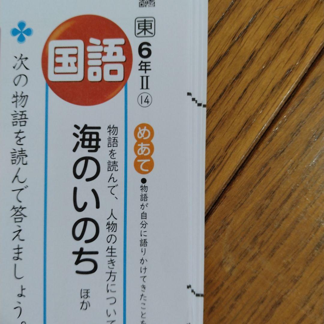 国語　小6　令和7年度 　東京書籍　明治図書　カラーテスト