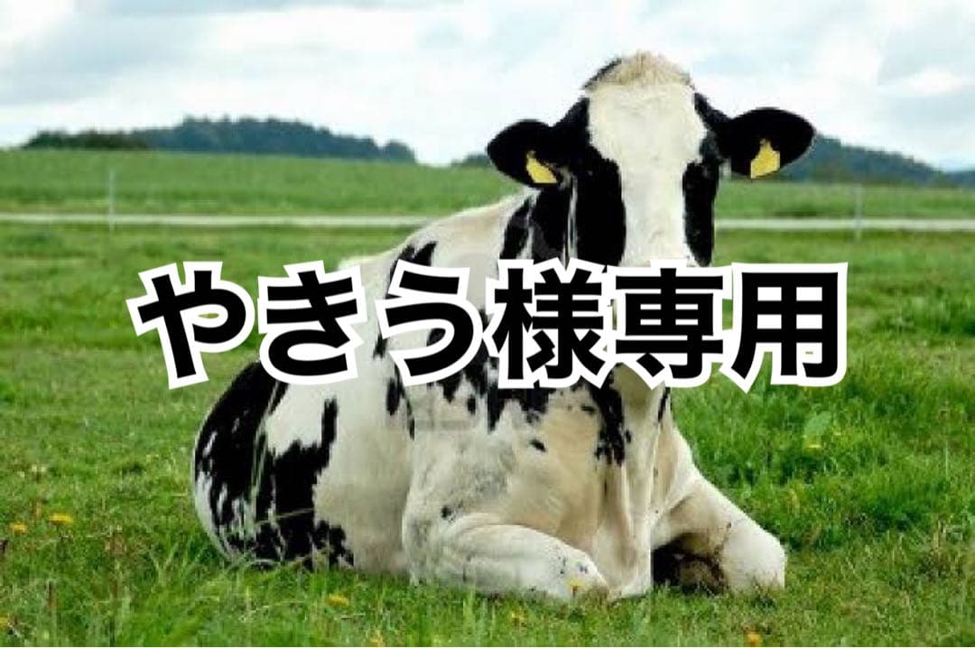グレー10、黒10、ダークグレー5