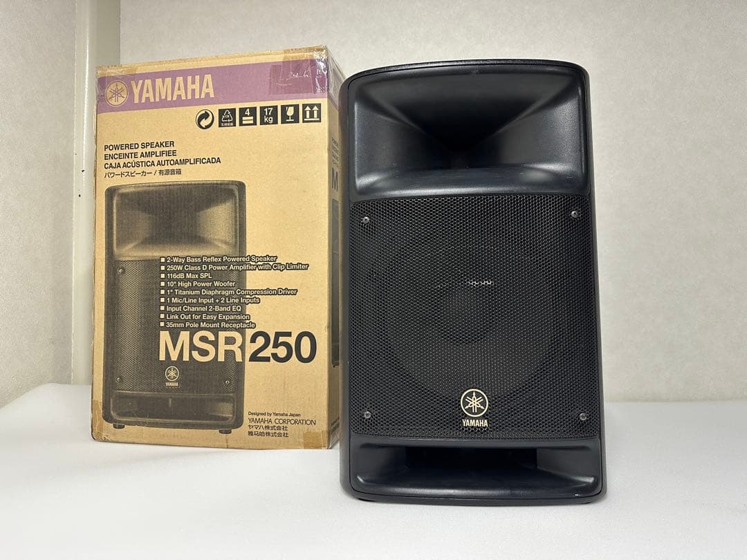 【動作確認済】YAMAHA MSR250 パワードスピーカー ヤマハ