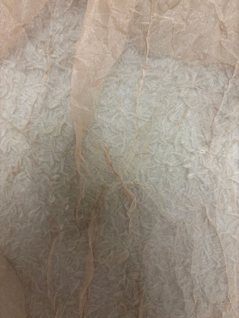 ワンピース leinwande Recycle Organdy Pleats Dress