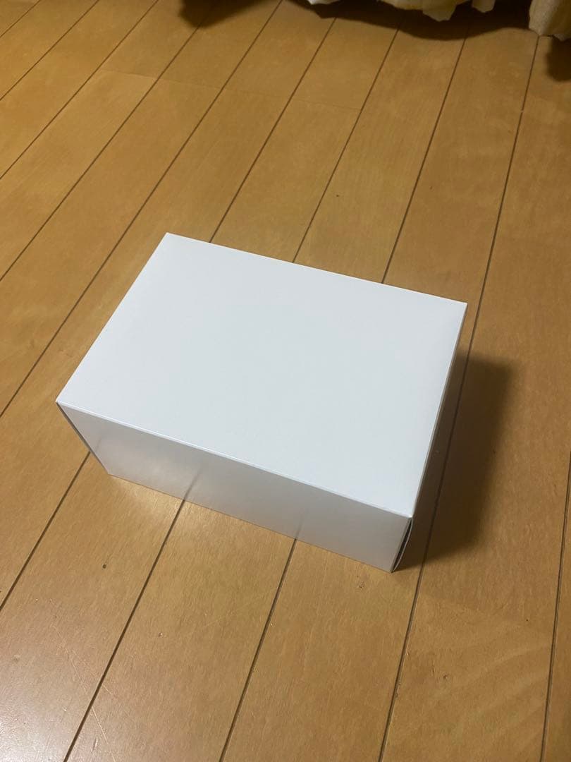 よーさん専用　パイロット カスタム74 30周記念モデル　限定　ライティブ