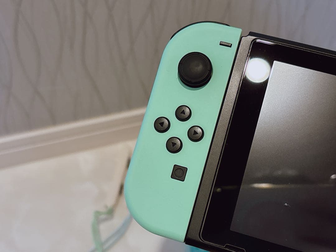 Nintendo switch どうぶつの森セット