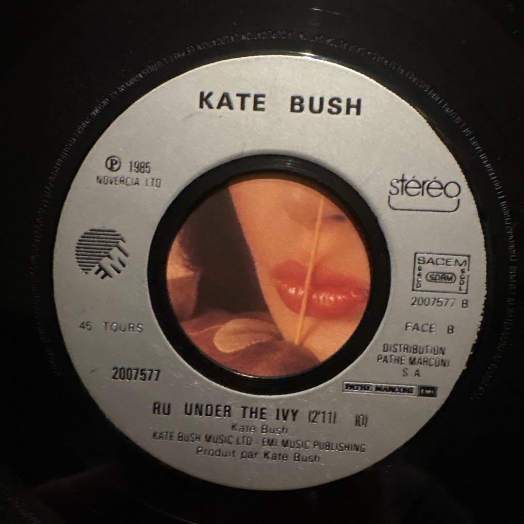 Kate Bush / Running Up That Hill レコード