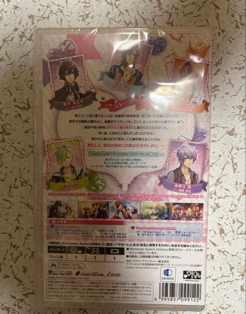 Nintendo Switch Class Heart Princess (Nintendo Switch)