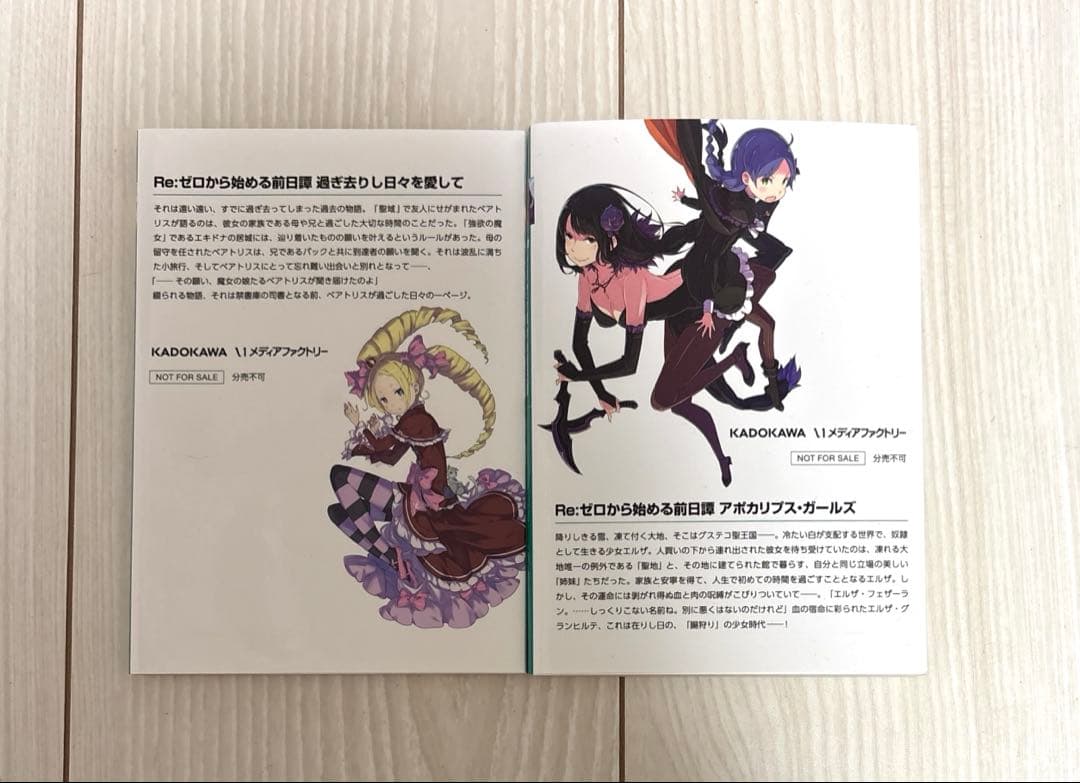 Re:ゼロから始める前日譚 アポカリプスガールズ　過ぎ去りし日々を愛して　リゼロ