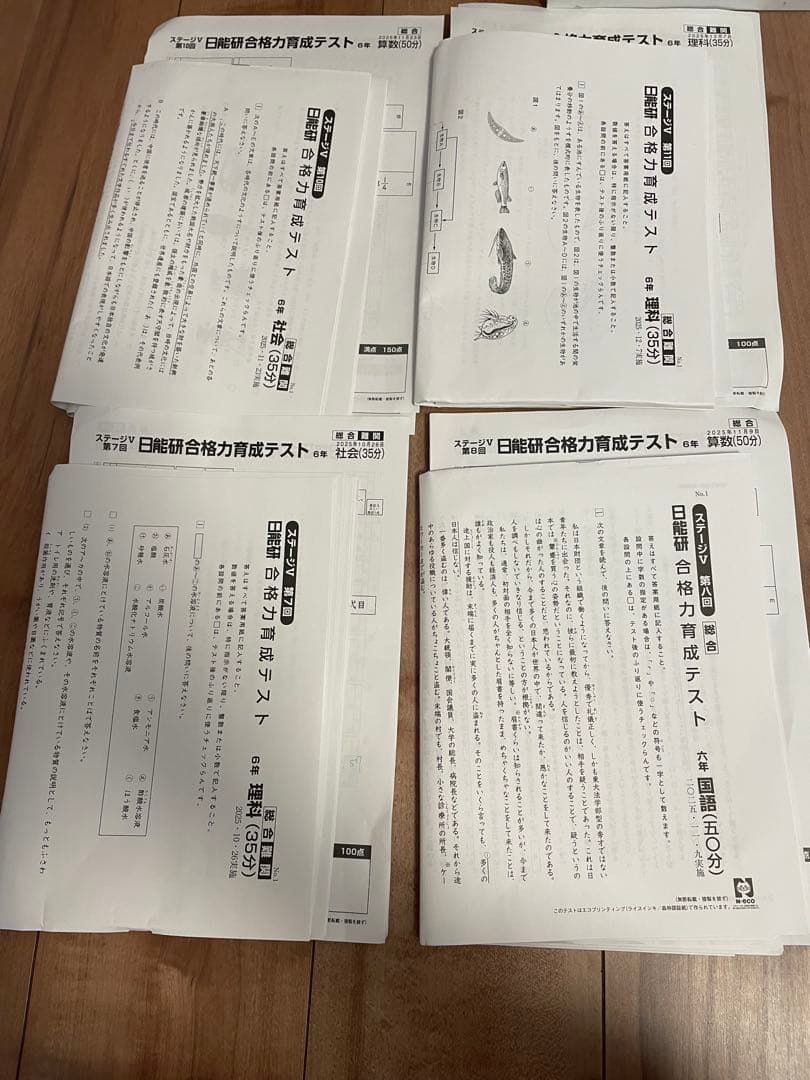 （最新）2026年受験終了組　日能研小6テストと問題集セット