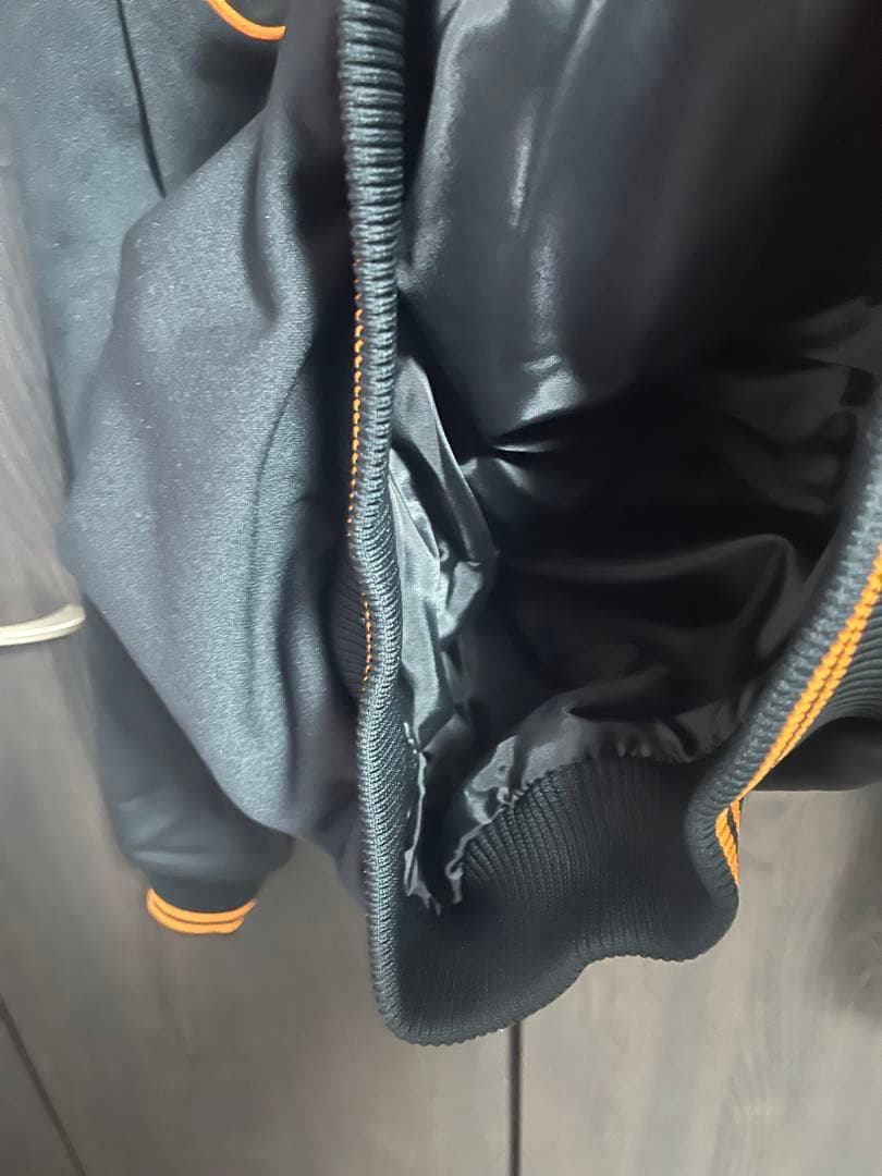【美品】ミズノプロ　MIZUNO PRO ハーフジップ　ジャケット　巨人　L 黒