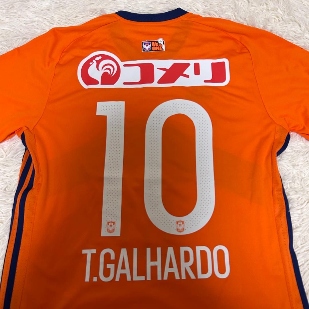 レア　新潟アルビレックス　サッカー　ユニフォーム　チアゴ　ガリャルド　L