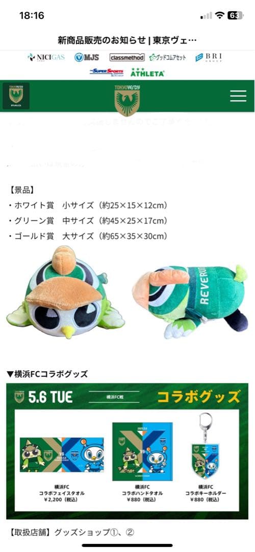 東京ヴェルディ　リヴェルン　もちもち　ぬいぐるみ　中サイズ