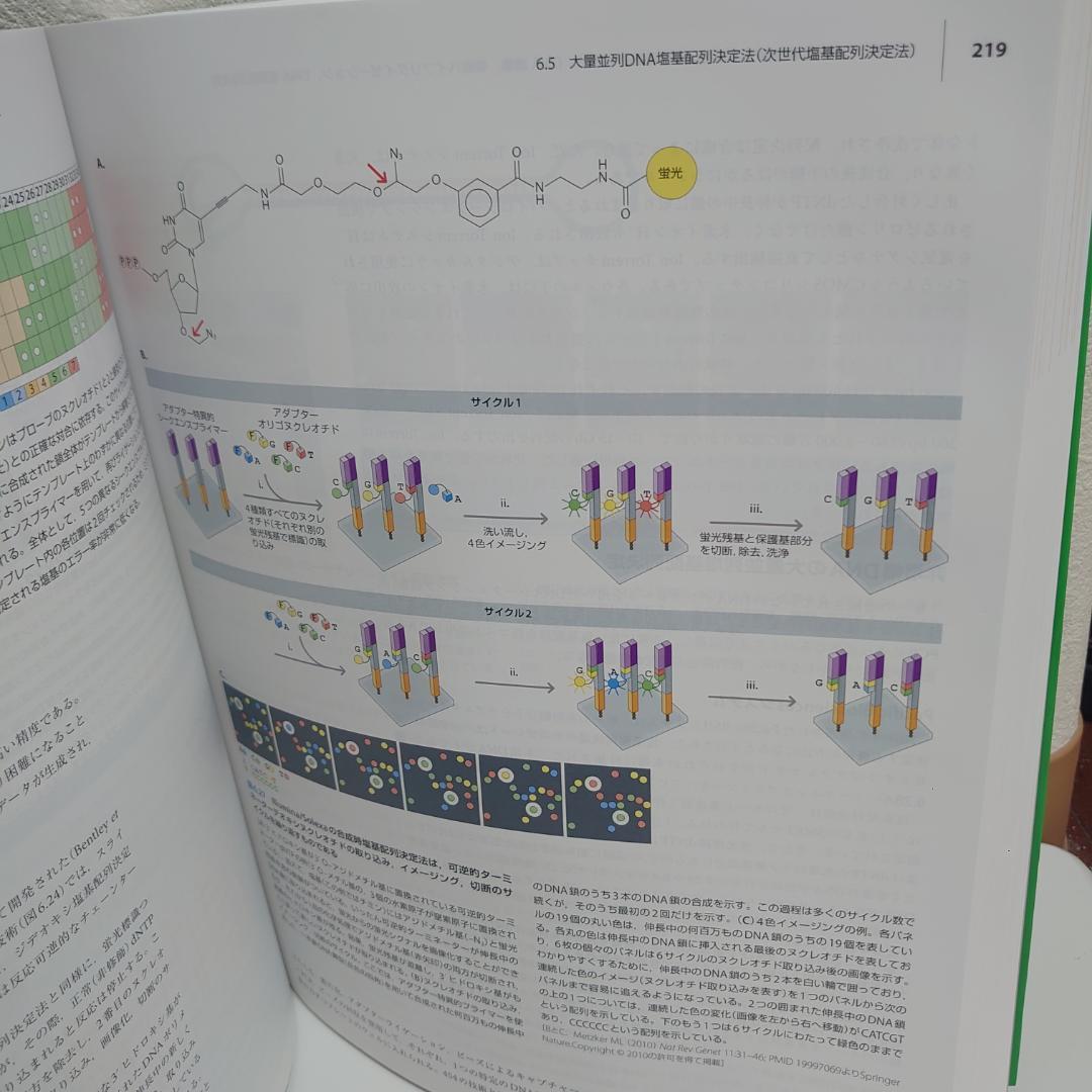 美品 ヒトの分子遺伝学 第5版 Human Molecular Genetics