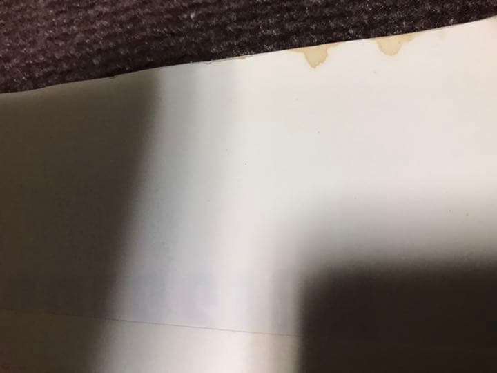 おおくぼひさこ『RCサクセション写真集』