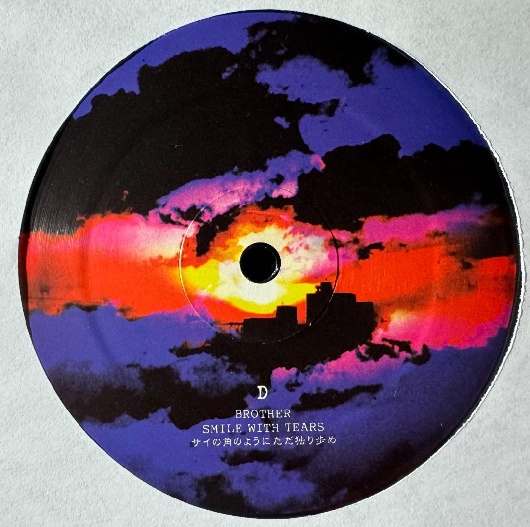 THA BLUE HERB / SELL OUR SOUL・レコード２枚組